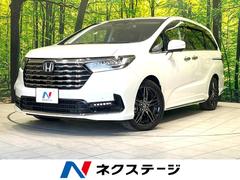 �ۥ�������ǥå����ϥ��֥�åɡ��塧�ȣţ֥��֥��롼�ȡ��ţء��ر�֡�ξ¦��ư�ɥ�