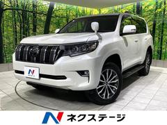�ȥ西�����ɥ��롼�����ץ�ɡ��ԣء��̥ѥå��������ر�֡�����롼��