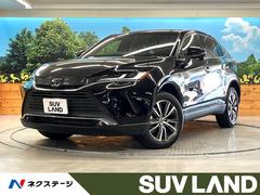 �ȥ西���ϥꥢ�����ǡ��ر�֡��֥饤��ɥ��ݥåȥ�˥������֥饦������