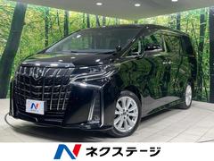 �ȥ西������ե����ɡ��������ӡ�ξ¦��ư�ɥ������ʥ�˥������ر��