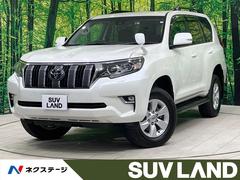 �ȥ西�����ɥ��롼�����ץ�ɡ��ԣء��ر�֡�����롼�ա������ʥ�