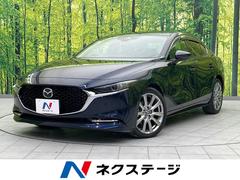 �ޥĥ����ͣ��ڣģ��������󡡣إץ������ƥ��֡��ġ���󥰥��쥯����󡡥Хå�����顡�£ϣӣť������