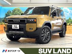 �ȥ西�����ɥ��롼�������������ڣء�����롼�ա��ʣ£̥�����ɡ��ȥ西�����եƥ�����