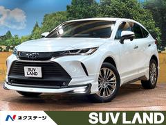 �ȥ西���ϥꥢ���ϥ��֥�åɡ��ڡ���ǥꥹ�����������������ʥӡ��ʣ£�