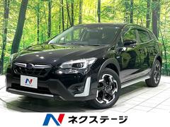 ���Х롡�أ֡����ɥХ󥹡����������ʥӡ��Хå�����顡���������ȣ֣��