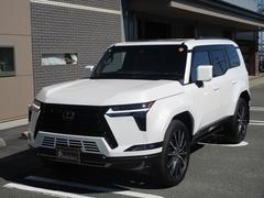 �ǣ� �ǣأ��������С������̡��������ʡ������˥å��������ġ��֥�å��쥶�� 9800006A30251030W001 3