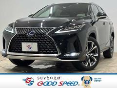 �쥯�������ңء��ңأ�������̡�����롼�ա������ϡ���ư�ꥢ������