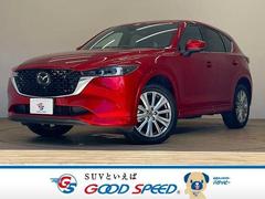 �ޥĥ����ãءݣ����أġ����������롼���֥⡼�ɡ������������ʥӡ��£ϣӣť������