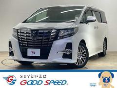 �ȥ西������ե����ɡ��������ӡ��åѥå������������ʥӡ�ξ¦�ѥ���饤�ɥɥ�