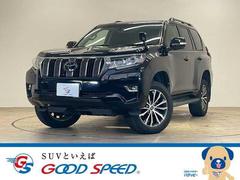 �ȥ西�����ɥ��롼�����ץ�ɡ��ԣء��̥ѥå���������������ʥӡ������ȥ����顼