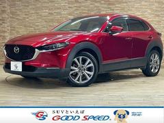 �ޥĥ����ãءݣ������أġ��ץ������ƥ��֡��ġ���󥰥��쥯����󡡽���������������ʥ�