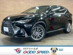 �쥯�������Σء��Σأ������衡�С������̡�����롼�ա��ء���������