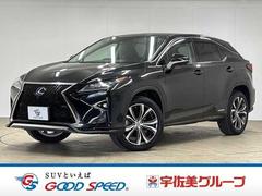 �쥯�������ңء��ңأ������衡�С������̡�������������������ʥӡ�������