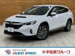���Х롡��������� �쥤�Хå�����ߥƥåɣţء��������ã��У������ϡ��ޥ󥫡��ɥ�������