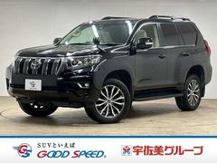 �ȥ西�����ɥ��롼�����ץ�ɡ��ԣء��̥ѥå�����������롼�ա��ϣУ������������