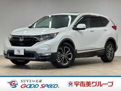 �ۥ�����ãҡݣ֥ϥ��֥�åɡ��塧�ȣţ֡��ţء��ޥ������ԡ�������󥪡��ʡ�