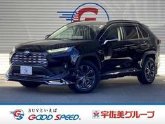 �ȥ西���ң��֣����ϥ��֥�åɣǡ������ʥӡ������ϥ�˥������ǥ����륤��ʡ��ߥ顼