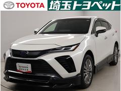 �ϥꥢ���ϥ��֥�å� �ڡ��쥶���ѥå�����