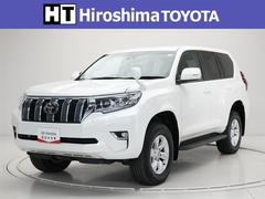 ���ɥ��롼�����ץ�� �ԣ�