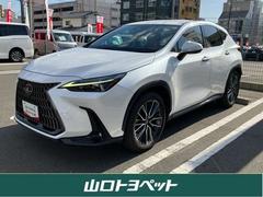 �쥯�������Σء��Σأ��������С������̡��ץ����ȡ��ե륻��