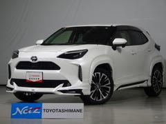 �ȥ西����ꥹ���������ǡ��ǥ����ץ쥤�����ǥ������ե륻�������꡼�ʥ�