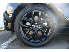 ������������������룱���������������֥�å��ե��˥å���ϣв��ʣ������������� 7