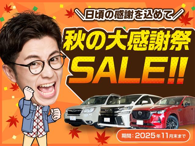 campaign