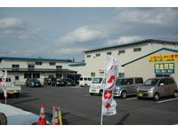 ����Ź����
