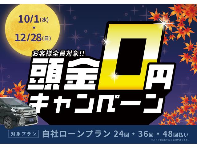 ����Ź����