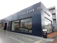 �Уţգǣţϣ����ա��ʳ��˥ե��ߥ꡼